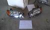 FS: Parts for MazdaSpeed Protege 2003-imag0742.jpg